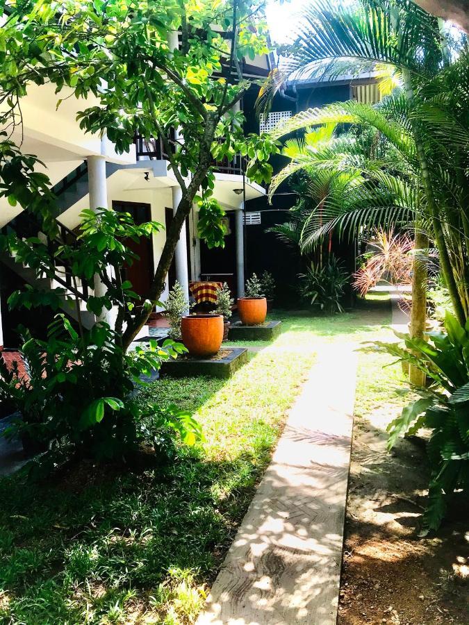 Dandelion - Unawatuna Exterior photo